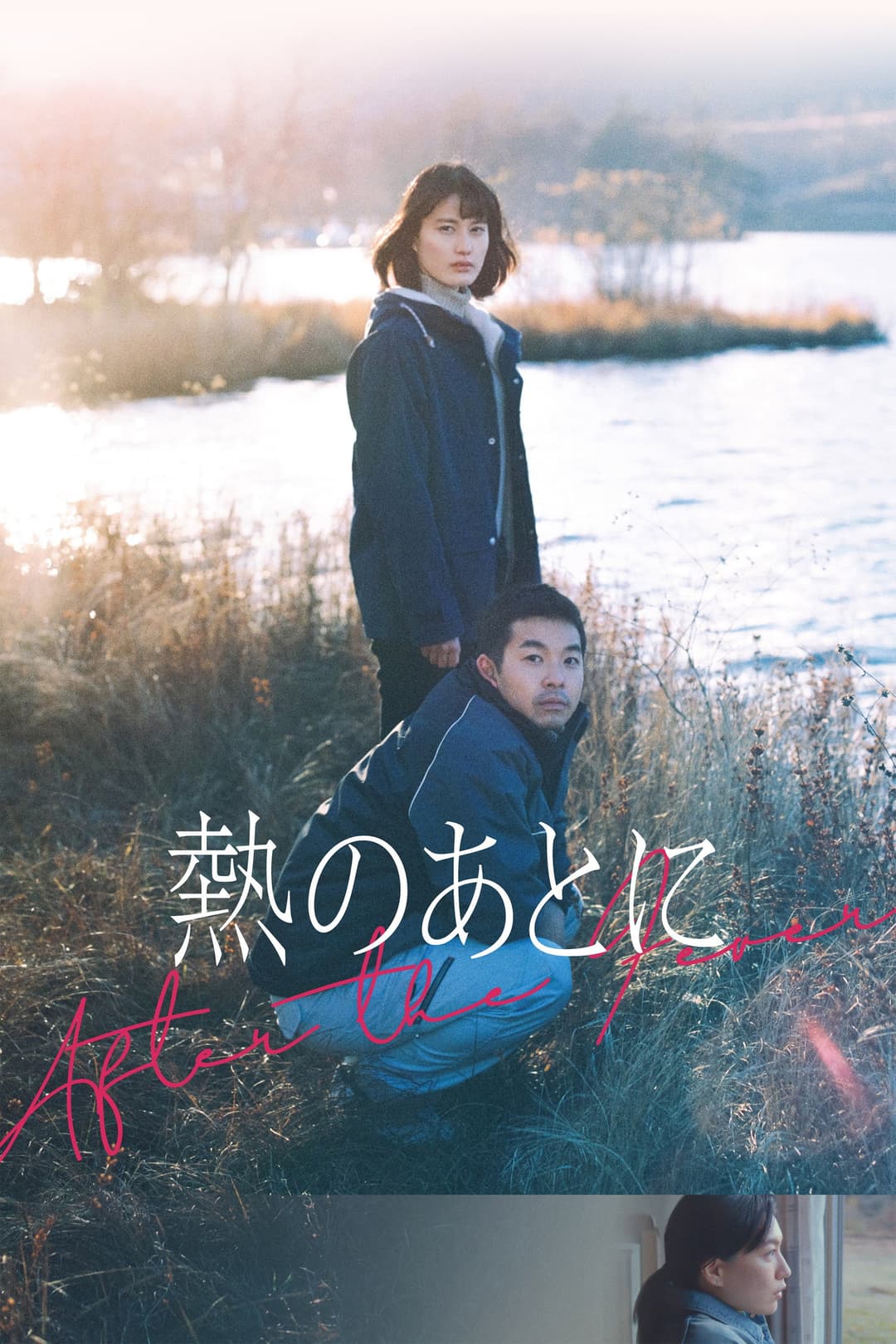 Poster di After The Fever