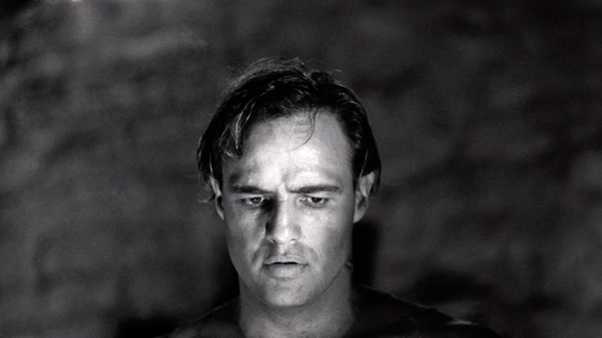 Brando - immagine