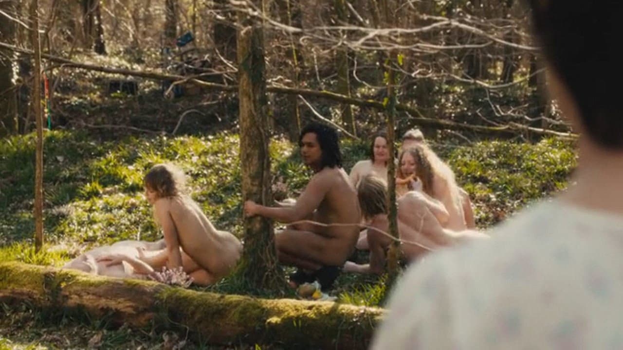 Bonobo - immagine