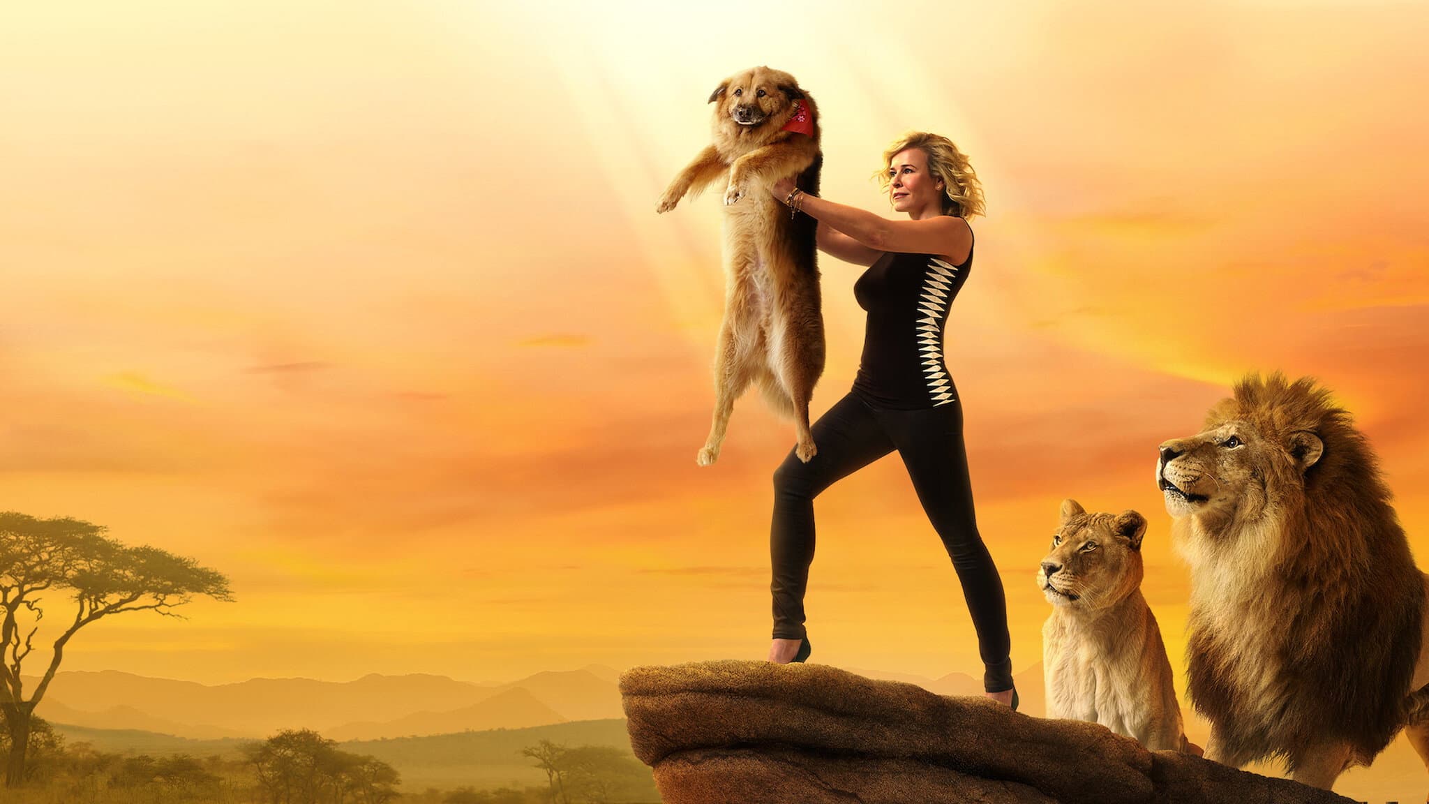 Chelsea Handler: Uganda Be Kidding Me Live - immagine