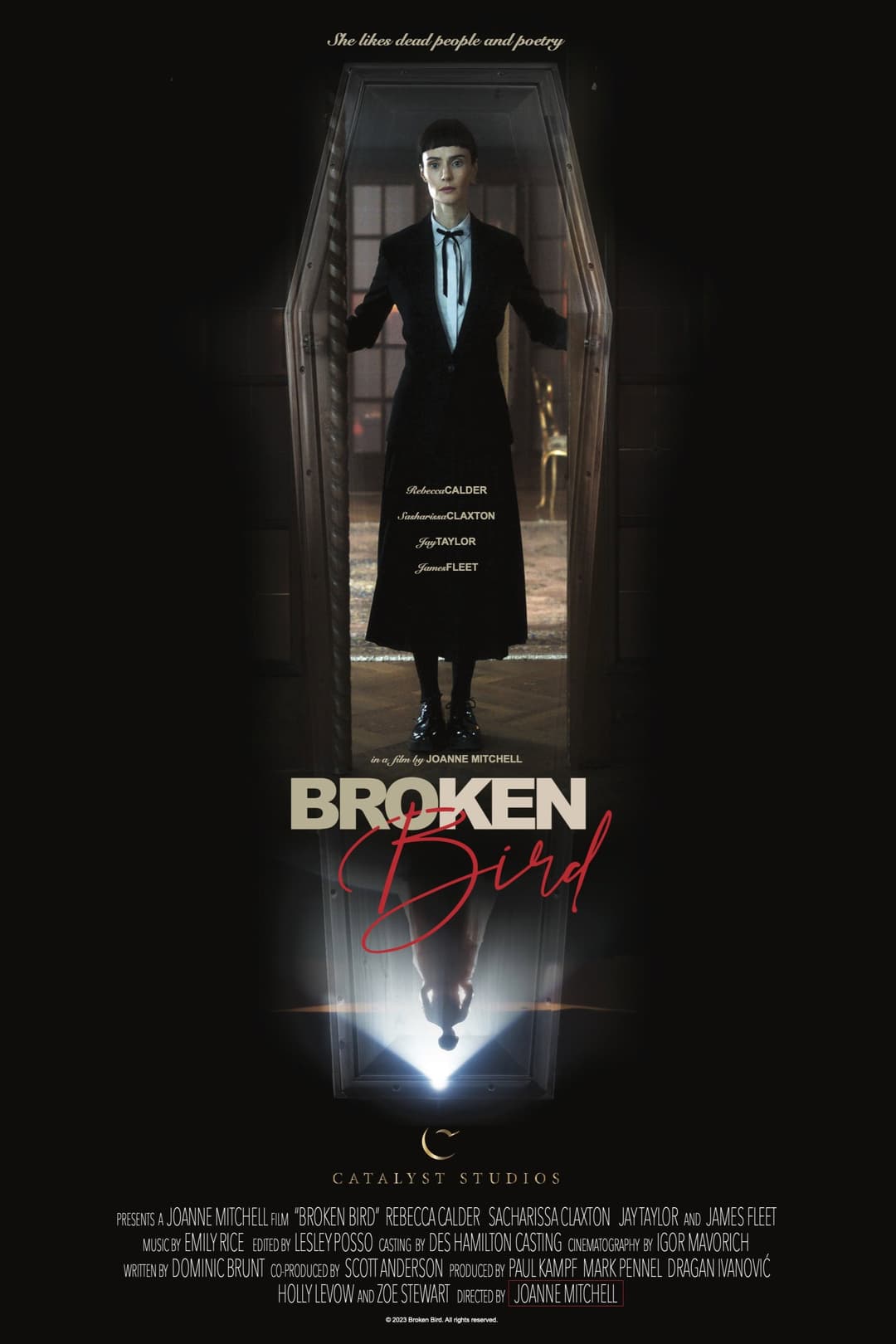 Poster di Broken Bird
