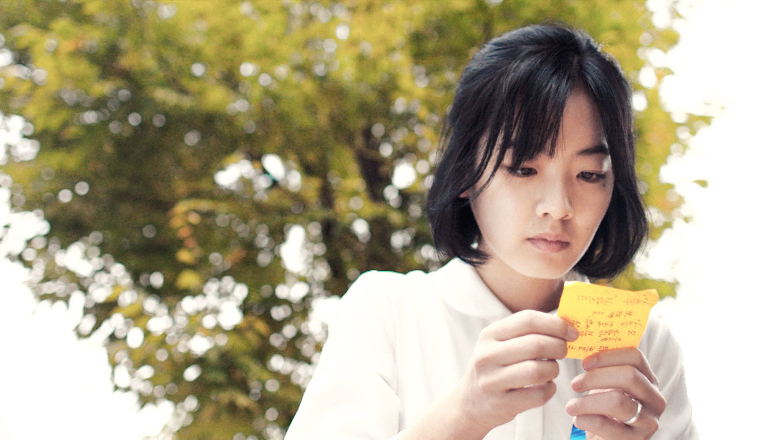 메기 - immagine