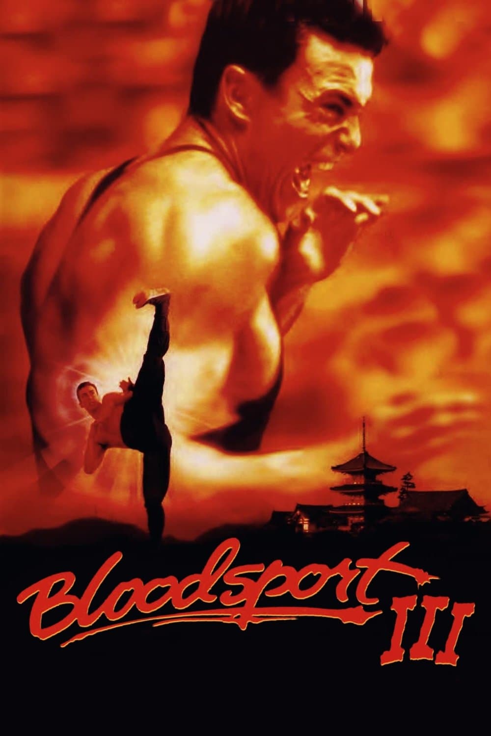 Poster di Colpi proibiti 3
