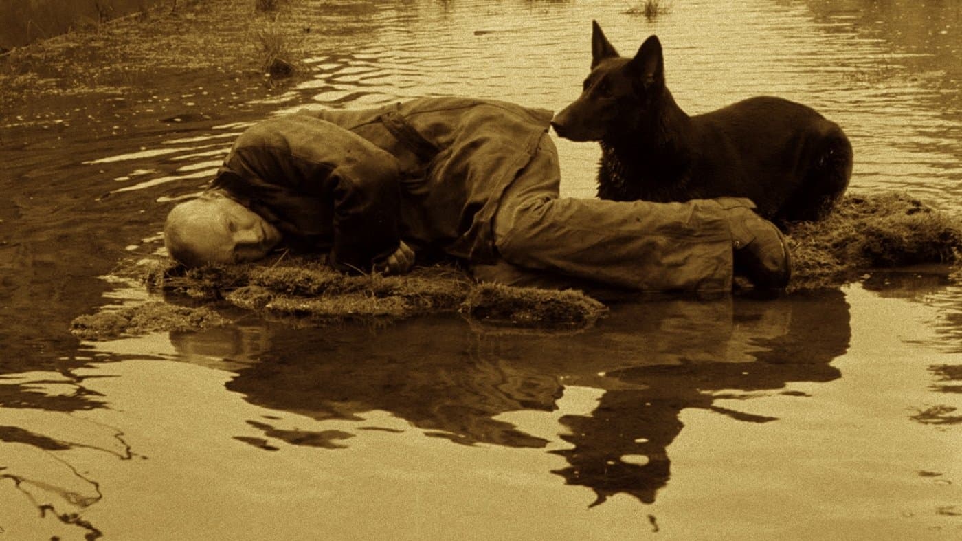 Stalker - immagine