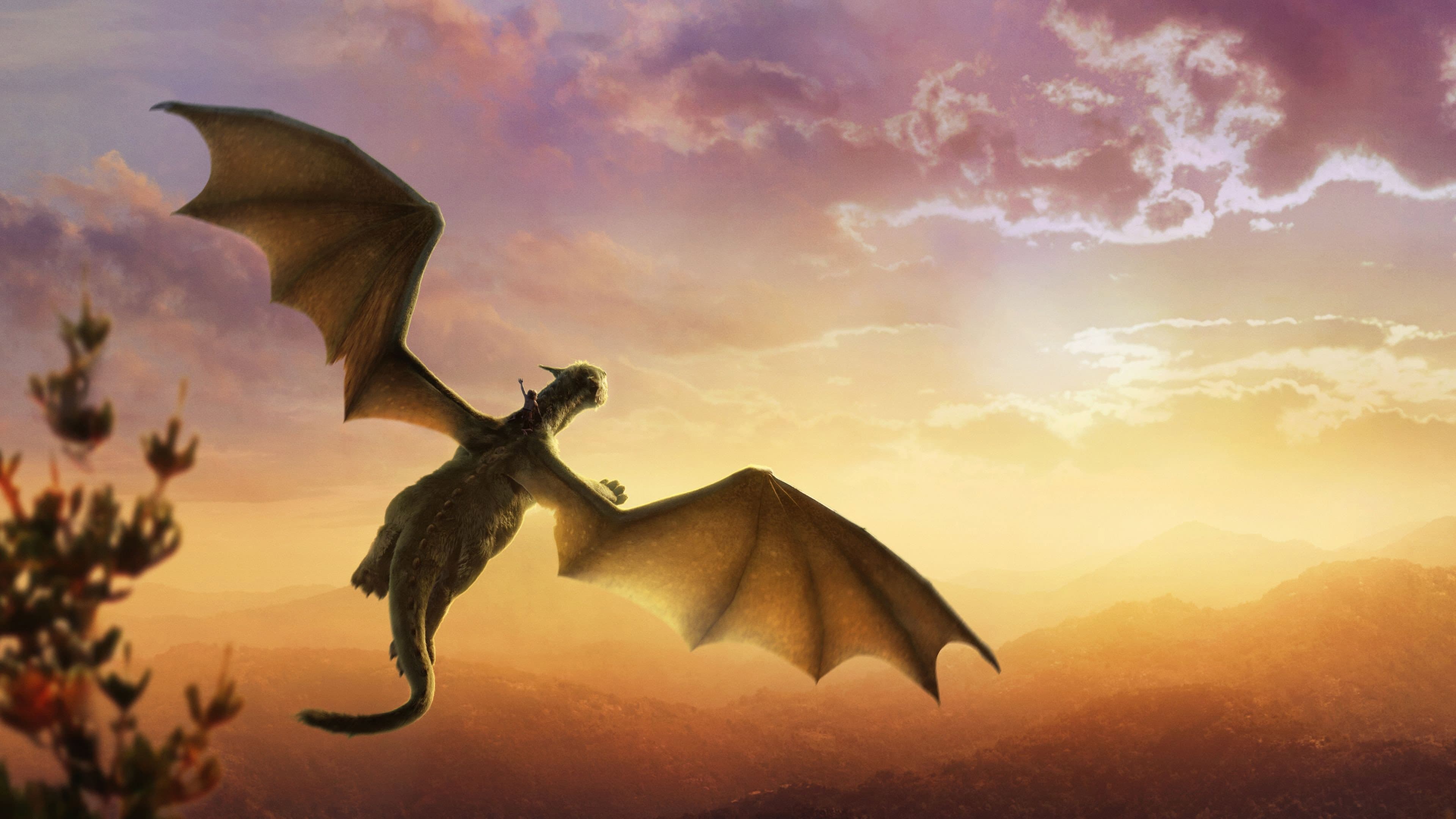 Il drago invisibile - immagine