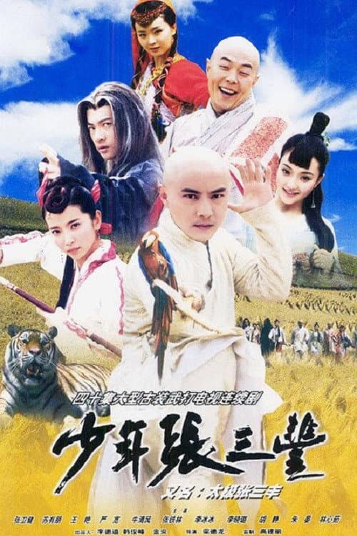 Poster di 少年张三丰