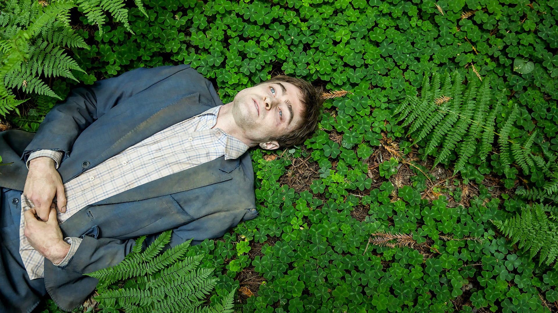 Swiss Army Man - Un amico multiuso - immagine