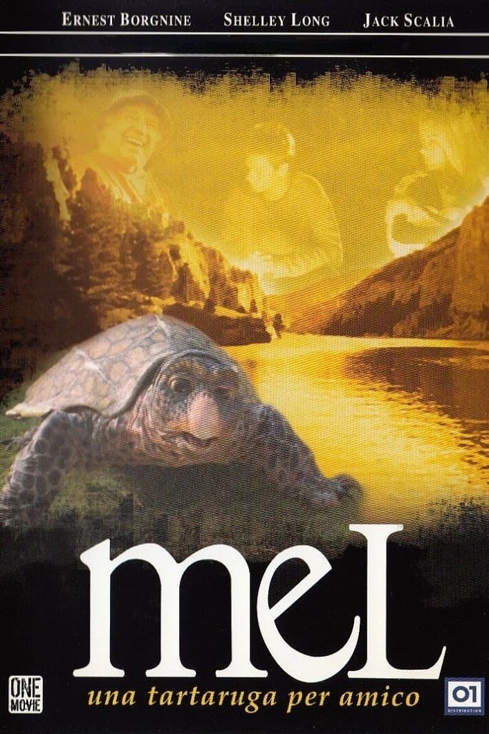Poster di Mel - Una tartaruga per amico