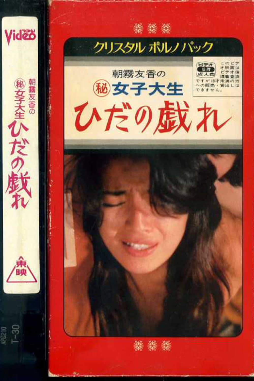 Poster di 女子大生　ひだの戯れ