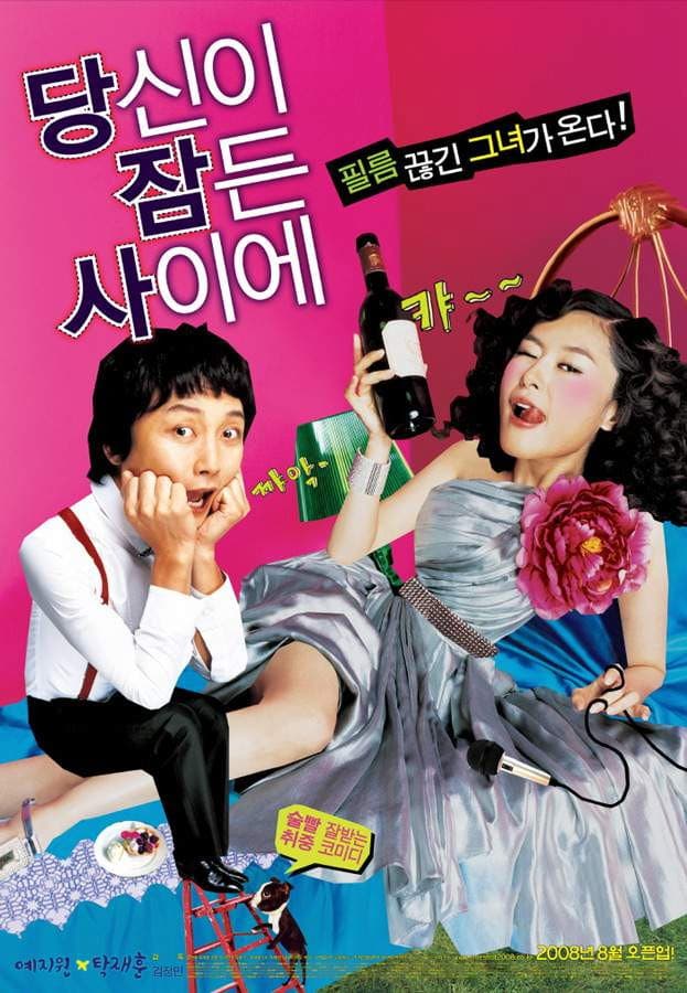 Poster di 당신이 잠든 사이에
