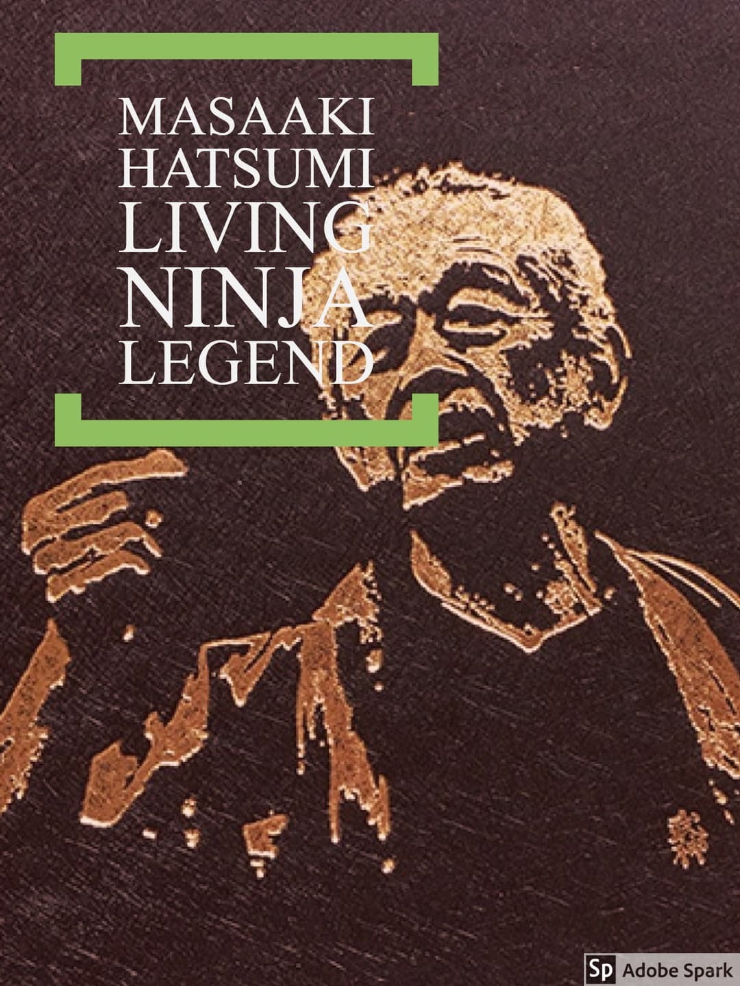 Poster di Masaaki Hatsumi: Living Ninja Legend