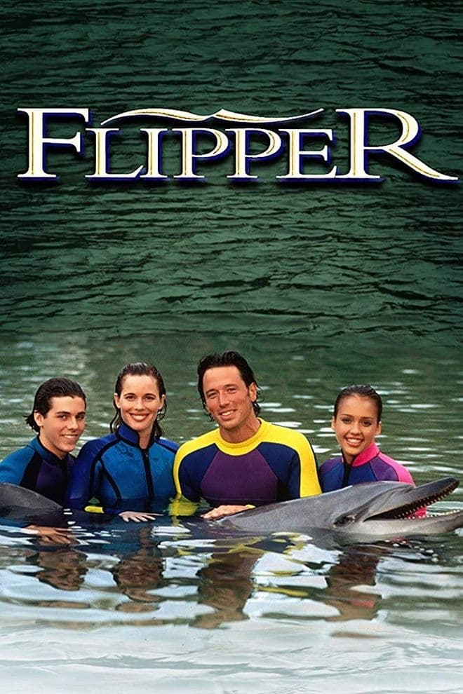 Poster di Le nuove avventure di Flipper