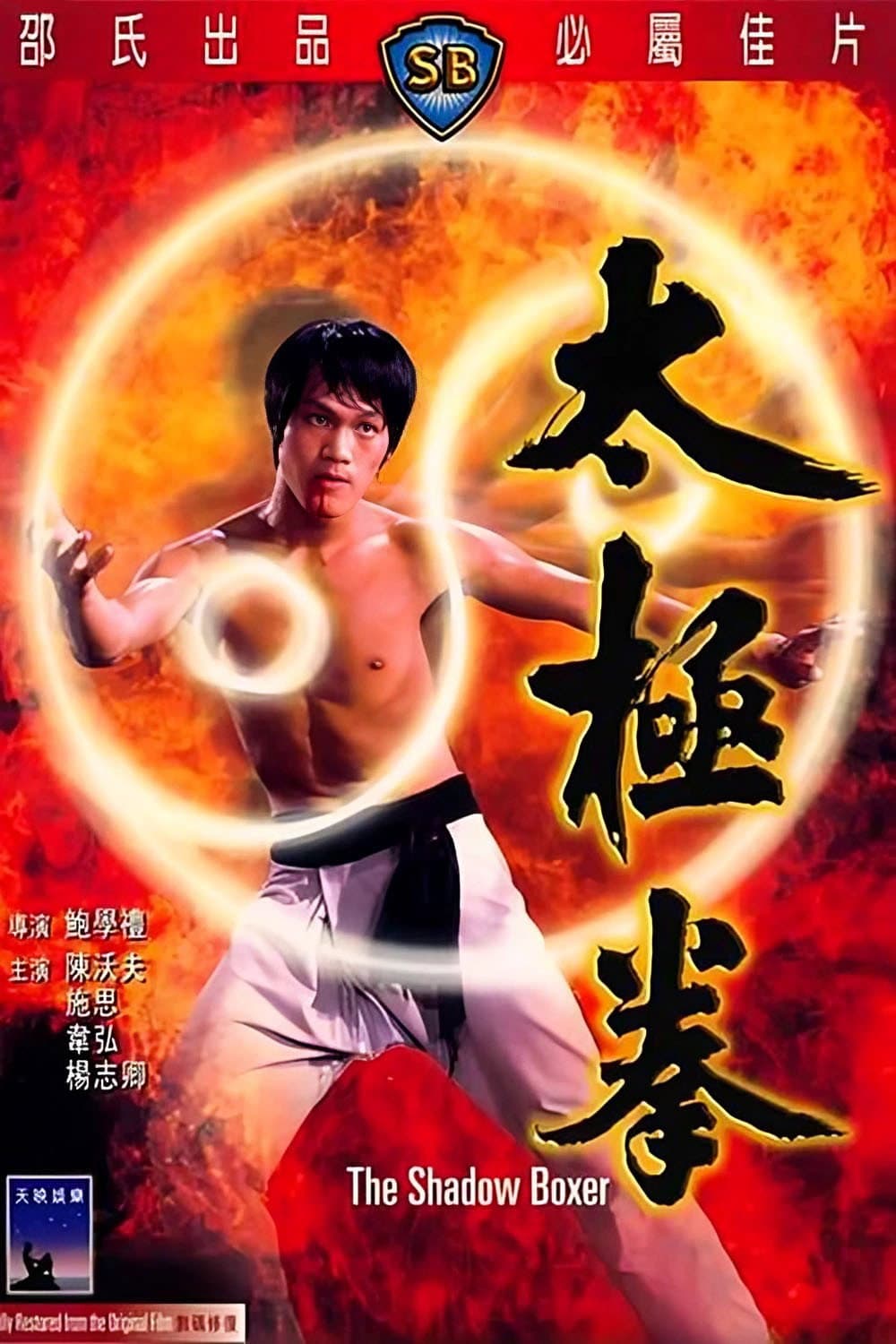 Poster di 太極拳