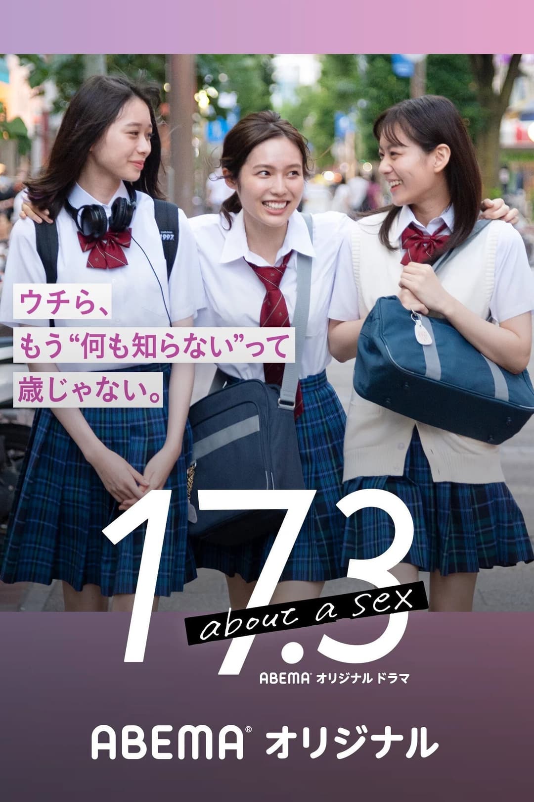 Poster di 17.3 about a sex