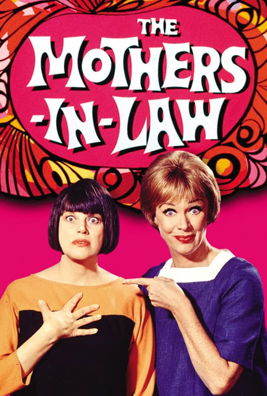 Poster di The Mothers-in-Law
