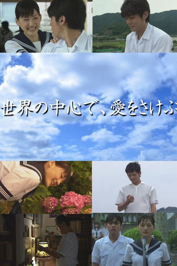 Poster di 世界の中心で、愛をさけぶ