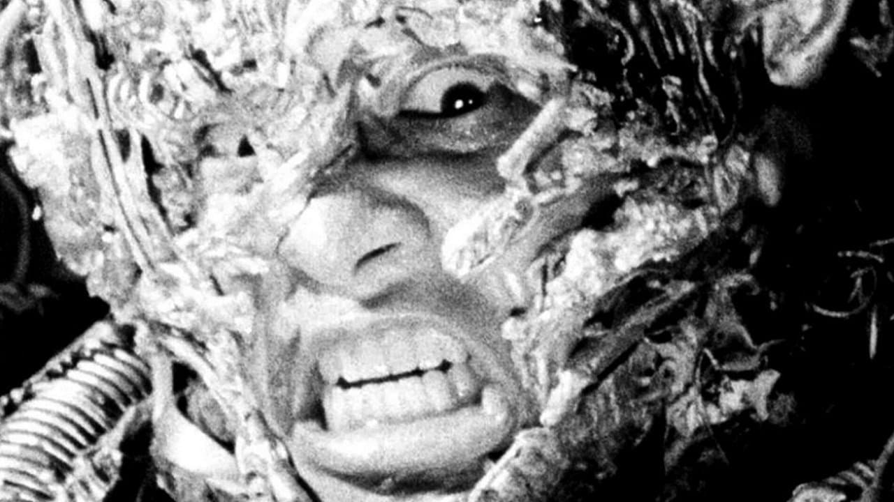 Tetsuo - The Iron Man - immagine