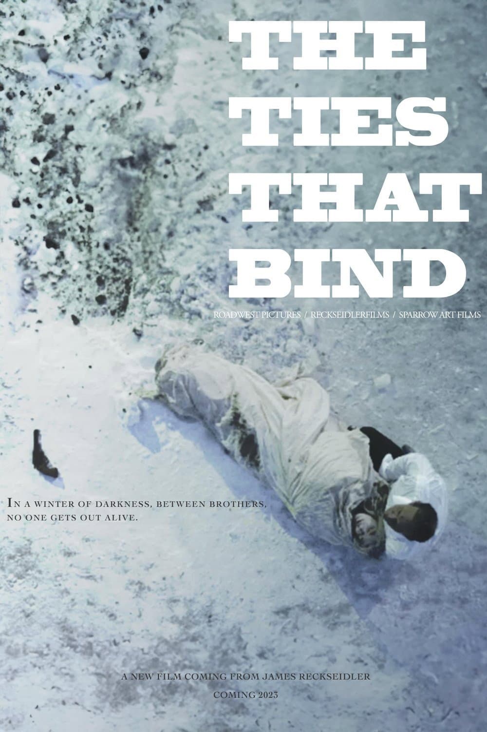 Poster di The Ties That Bind