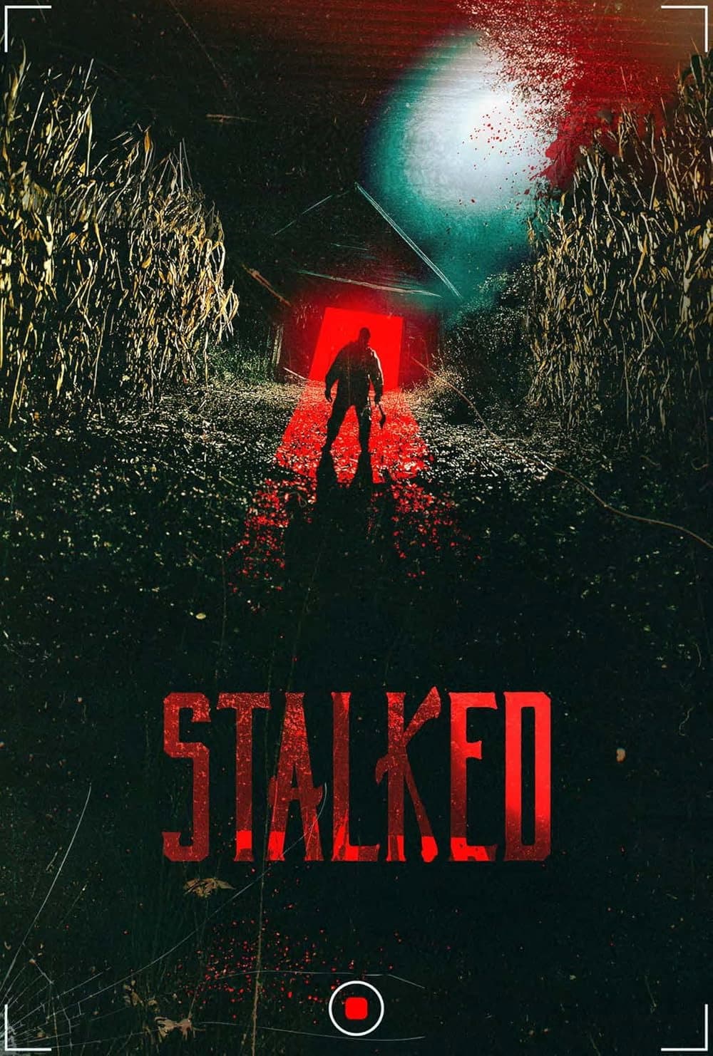 Poster di Stalked