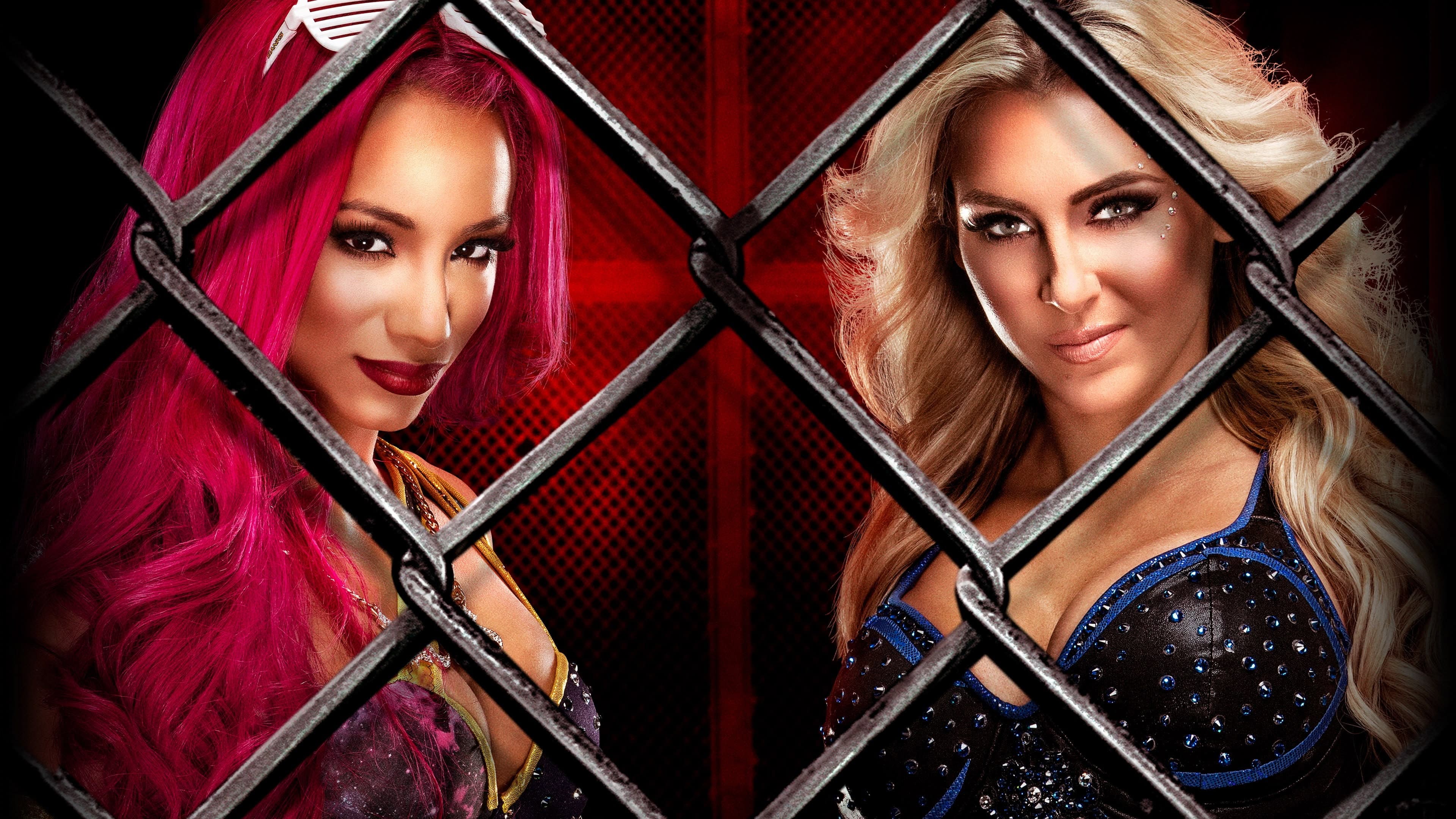 WWE Hell in a Cell 2016 - immagine