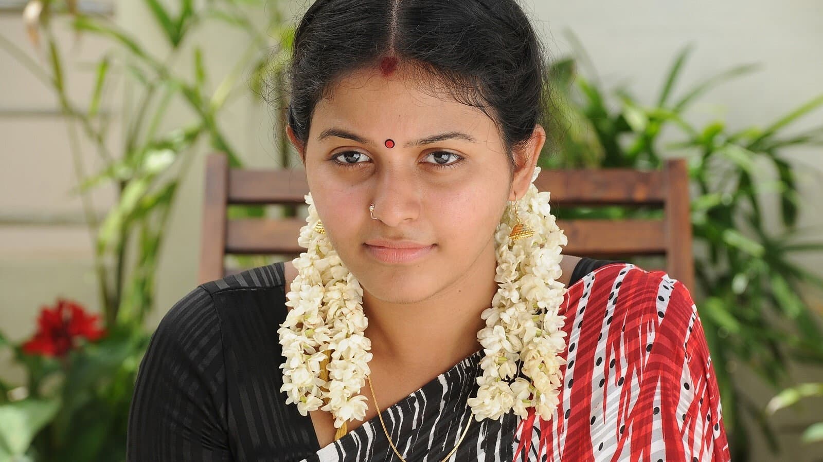 கருங்காலி - immagine
