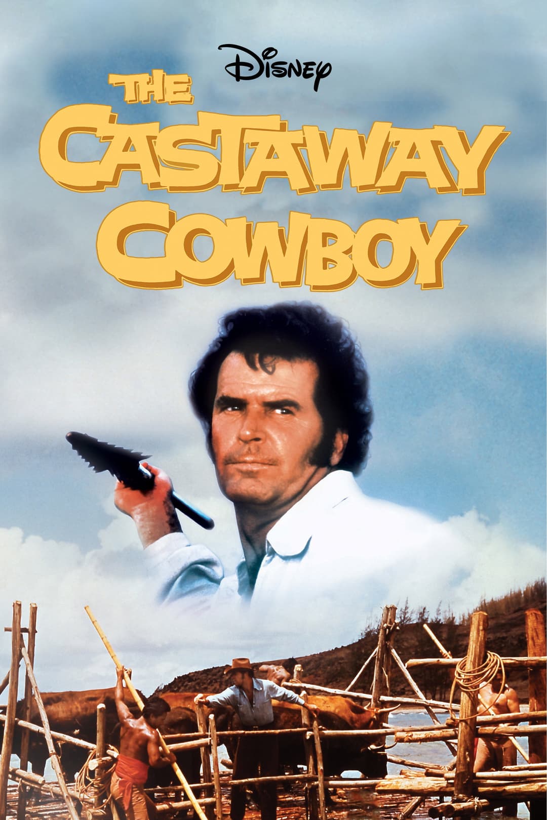 Poster di Un cowboy alle Hawaii
