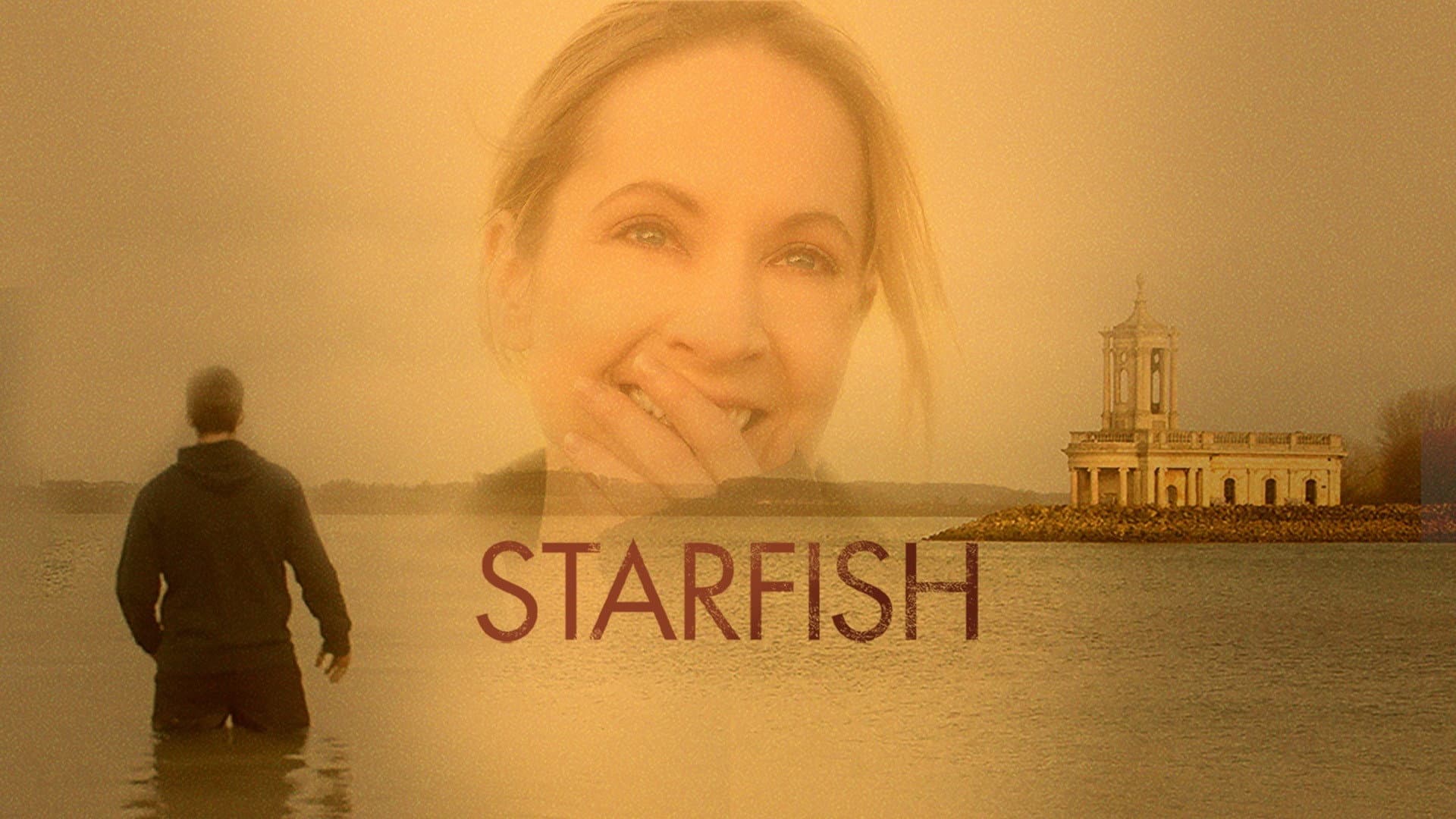 Starfish - immagine