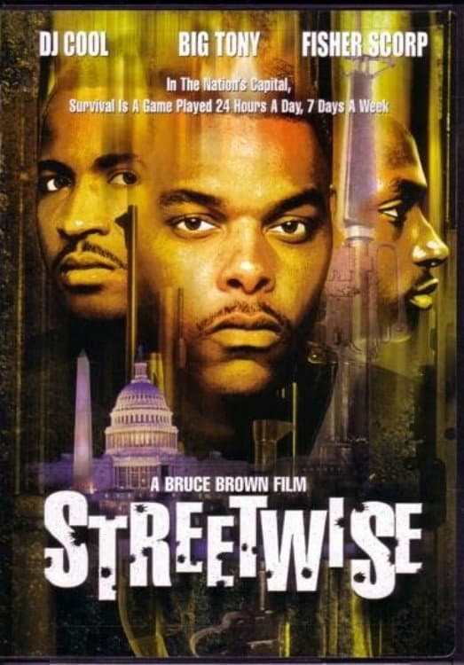 Poster di Streetwise