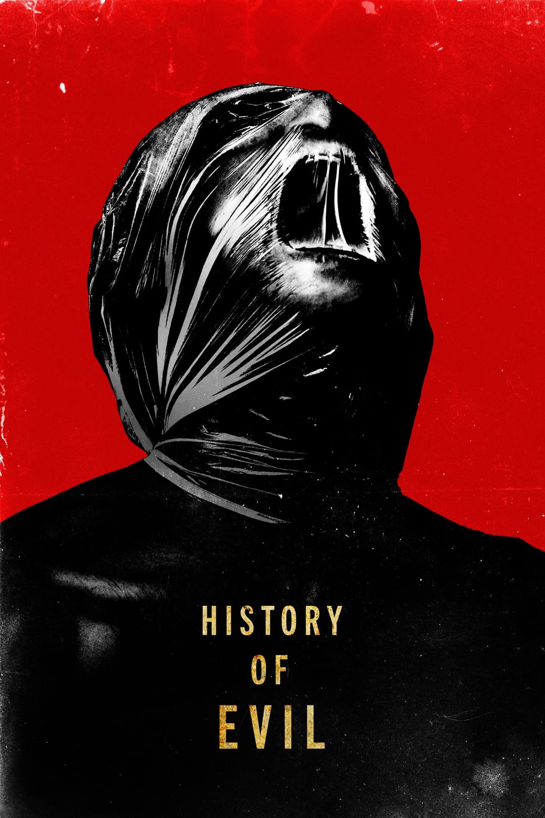 Poster di History of Evil