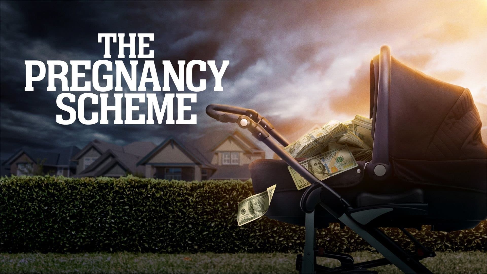 The Pregnancy Scheme - immagine
