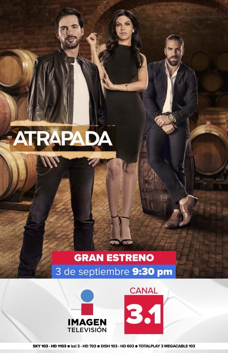 Poster di Atrapada