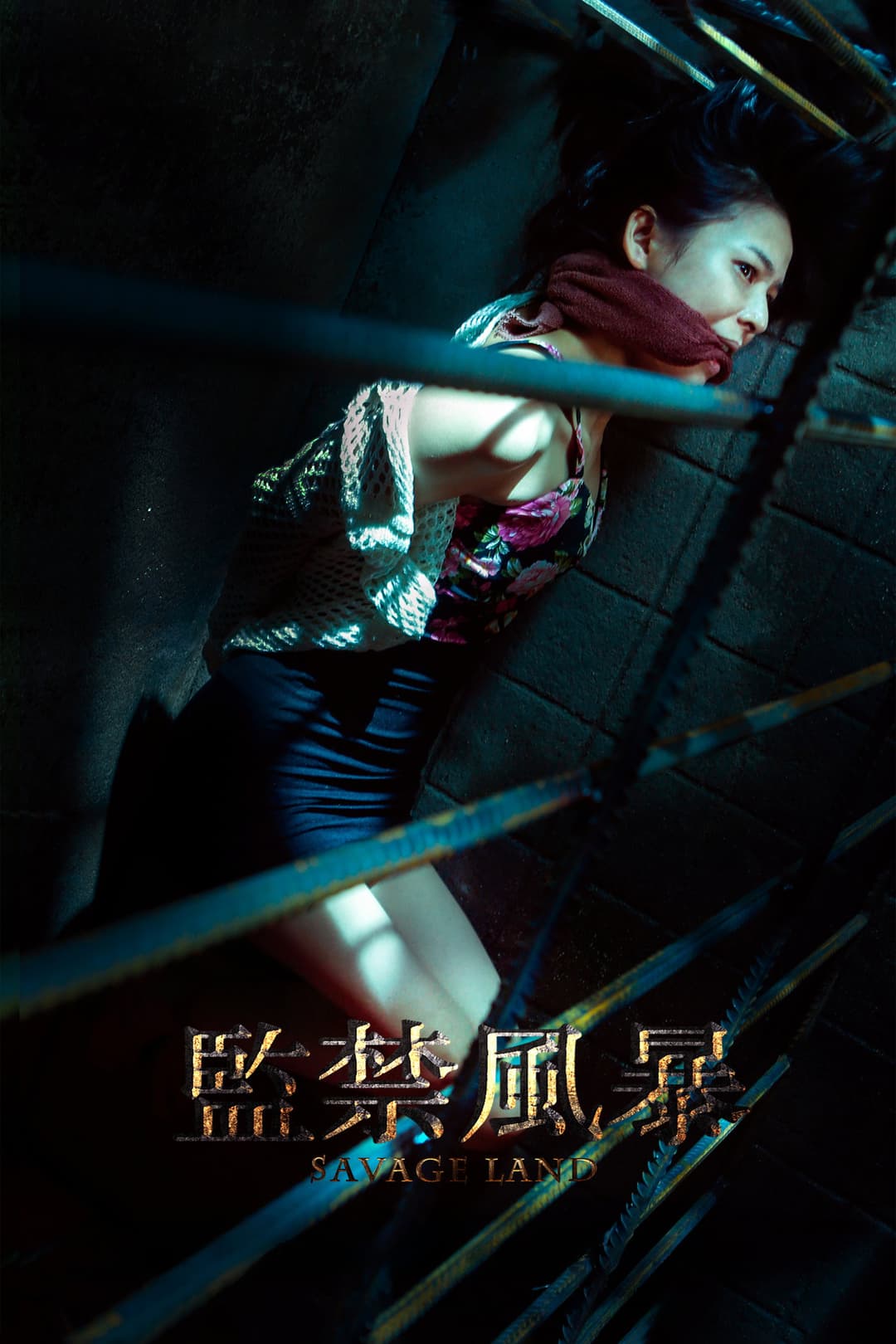 Poster di 监禁风暴