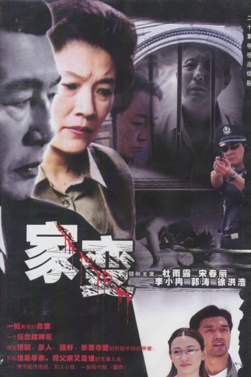 Poster di 家变