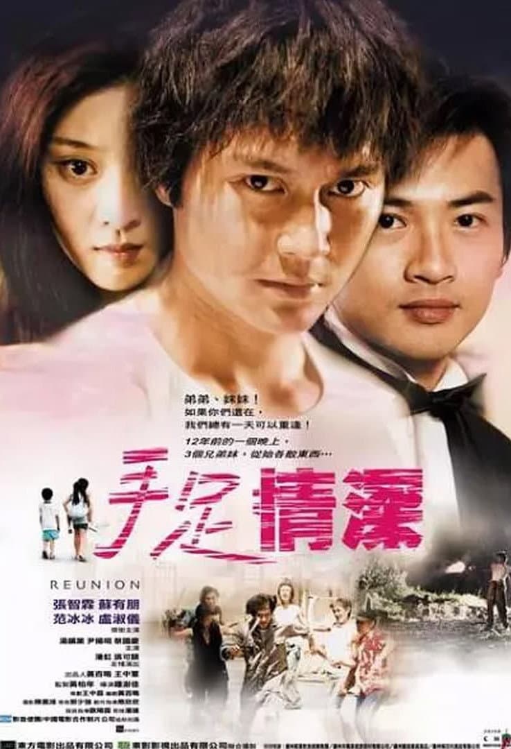 Poster di 手足情深
