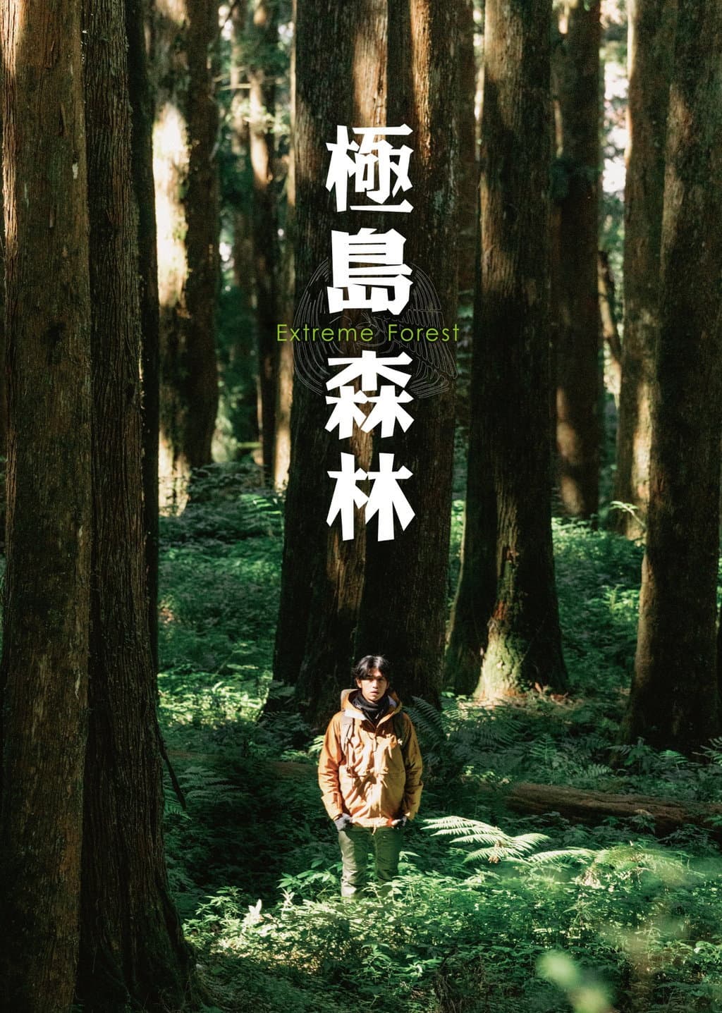 Poster di 極島森林