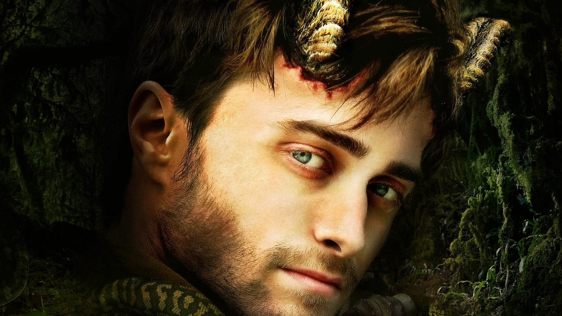 Horns - immagine