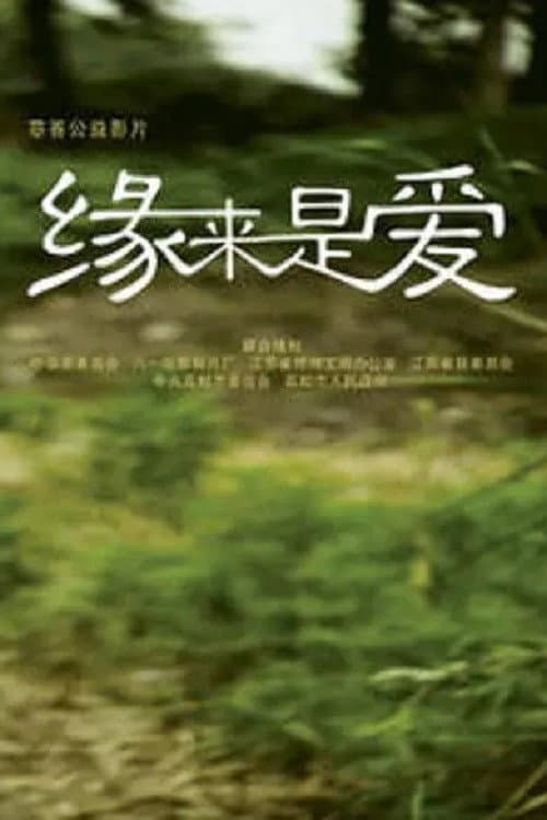 Poster di 缘来是爱