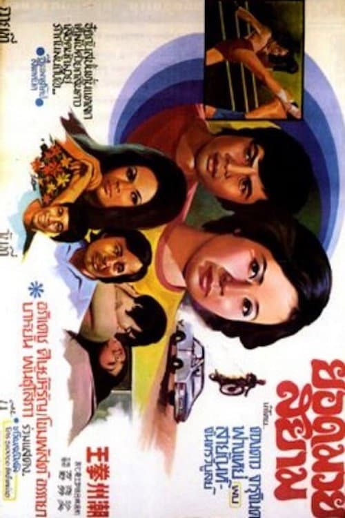 Poster di 潮州拳王