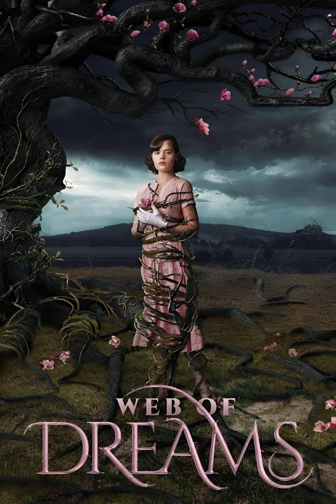 Poster di Web of Dreams