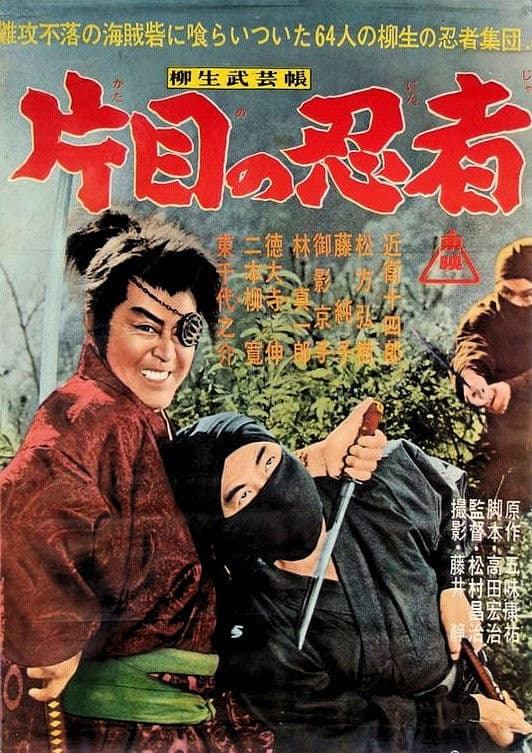 Poster di 柳生武芸帳　片目の忍者