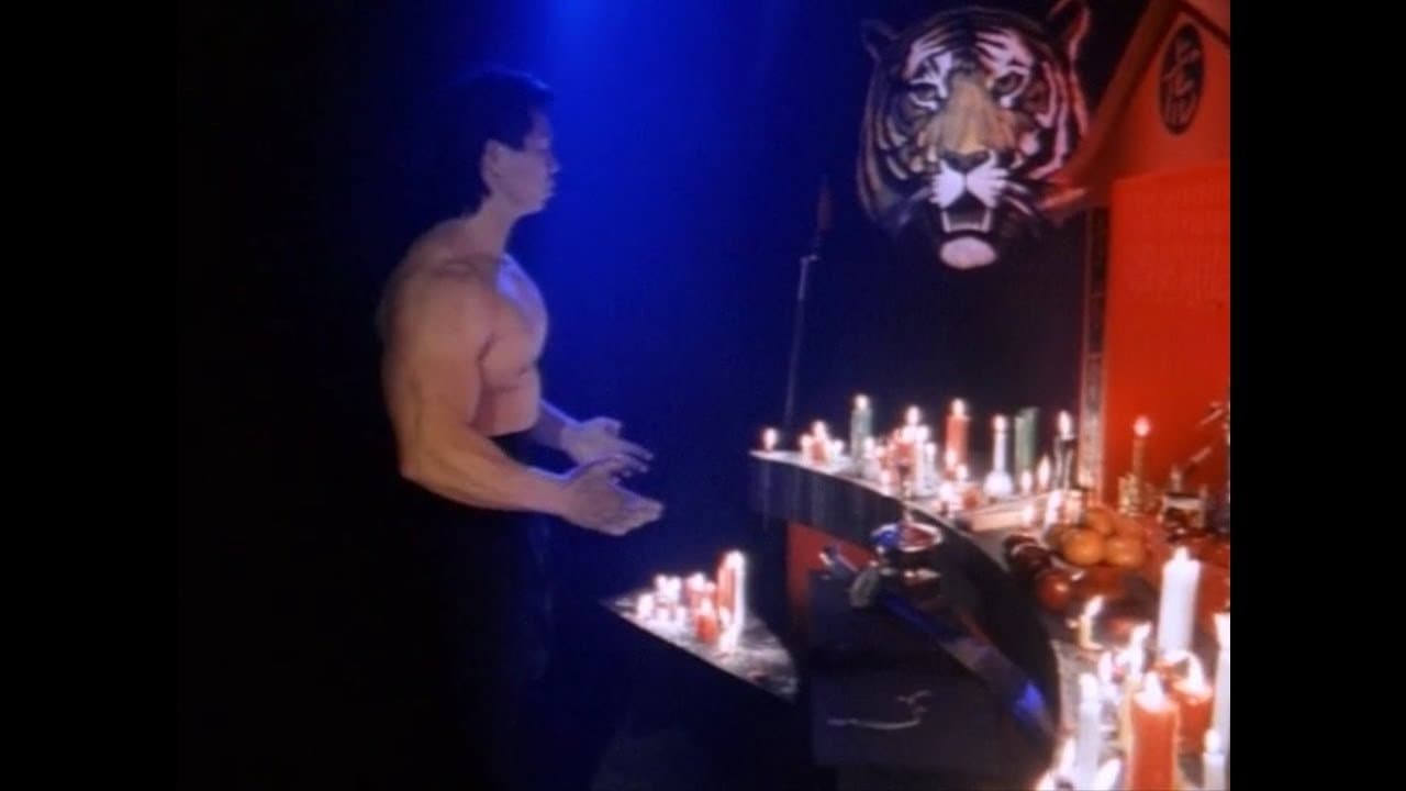 Fearless Tiger - immagine