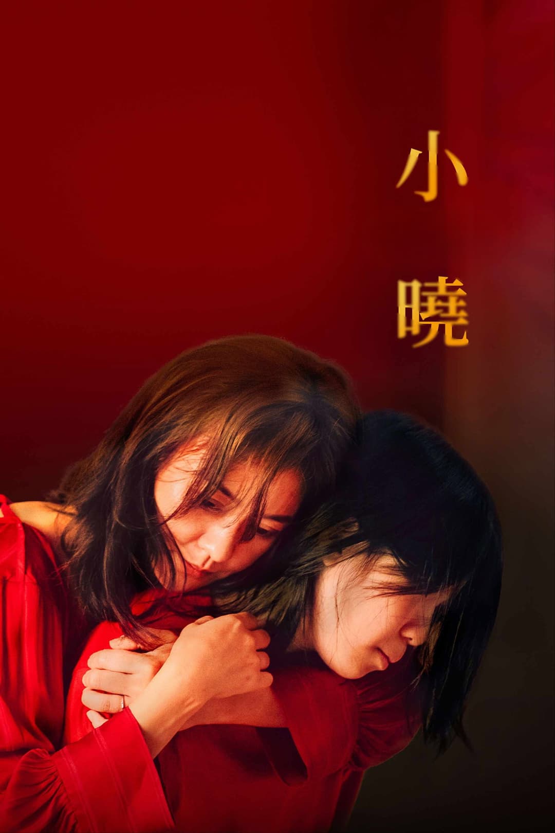 Poster di Trouble Girl