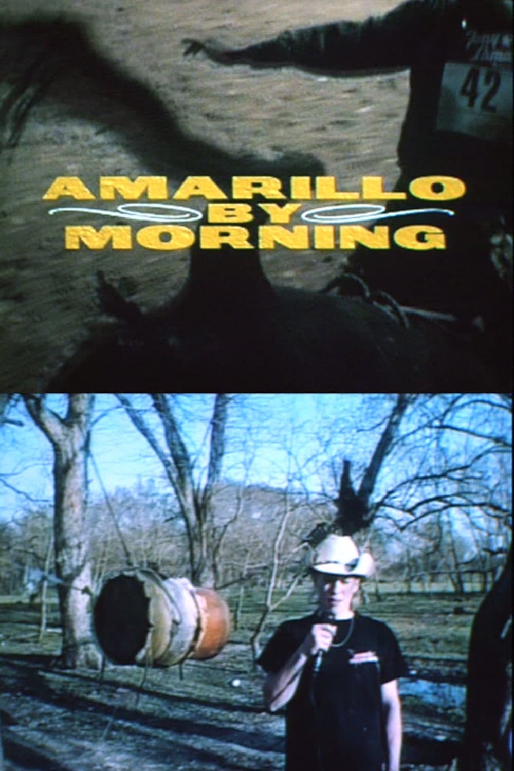 Poster di Amarillo By Morning