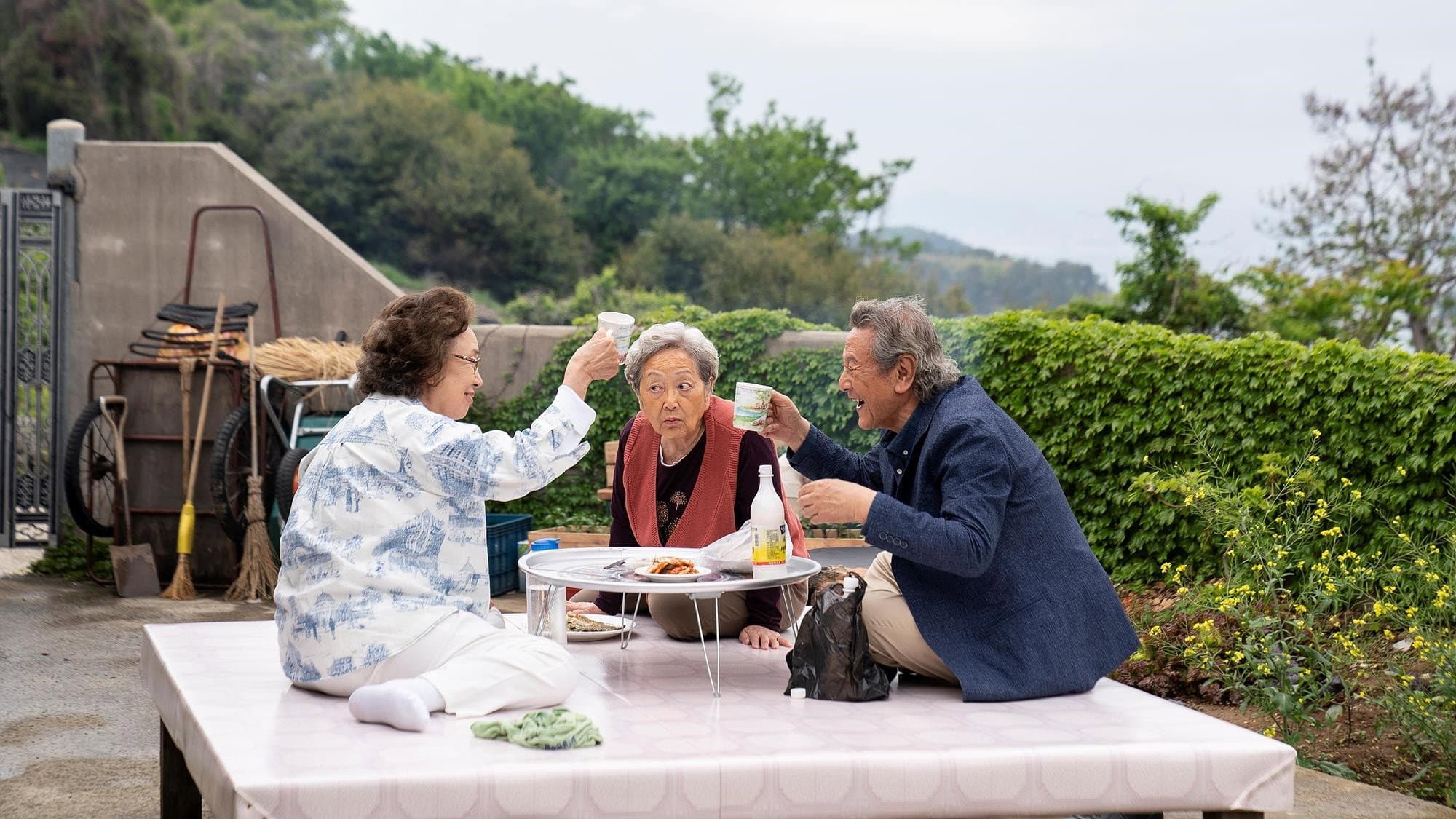 Picnic - immagine