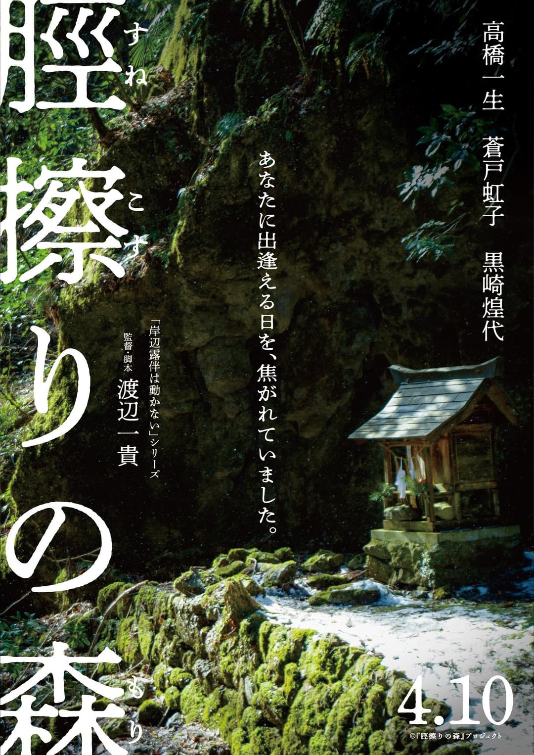 Poster di 脛擦りの森