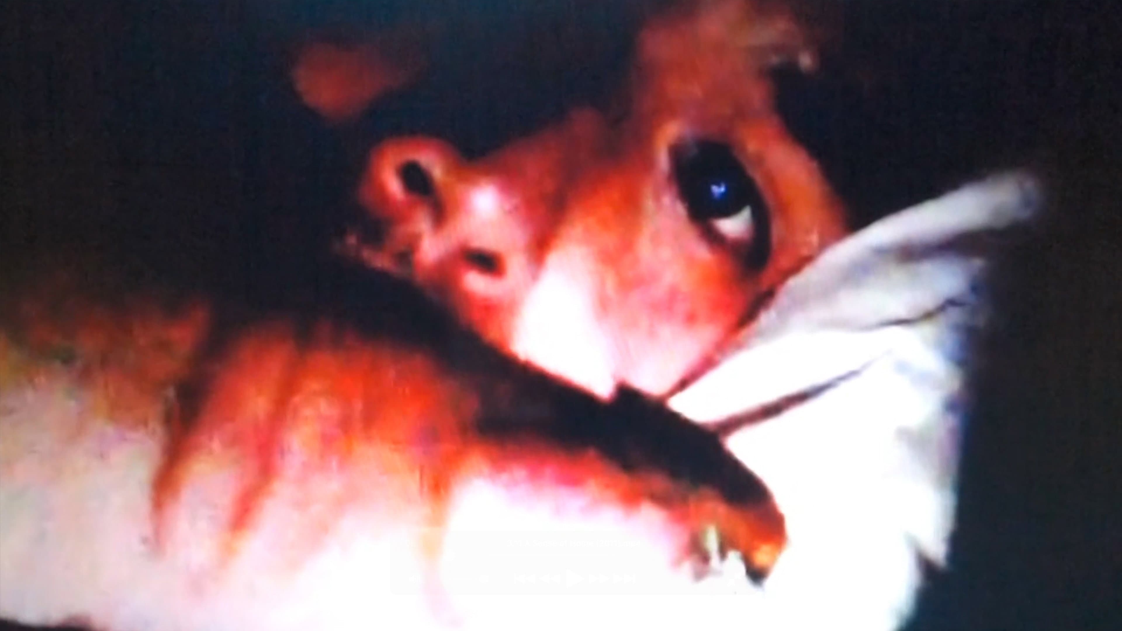 3.11 A Sense of Home Films - immagine