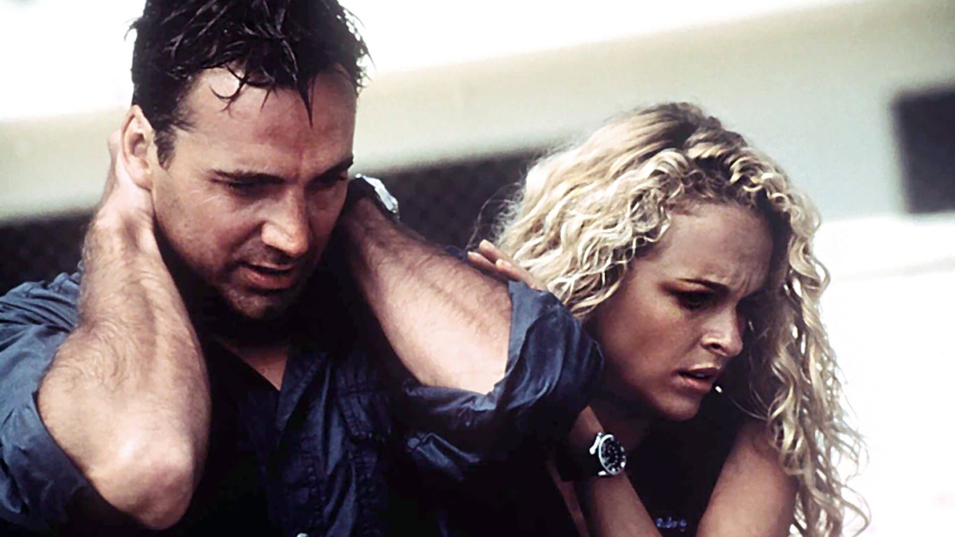 Shark Attack 2 - immagine