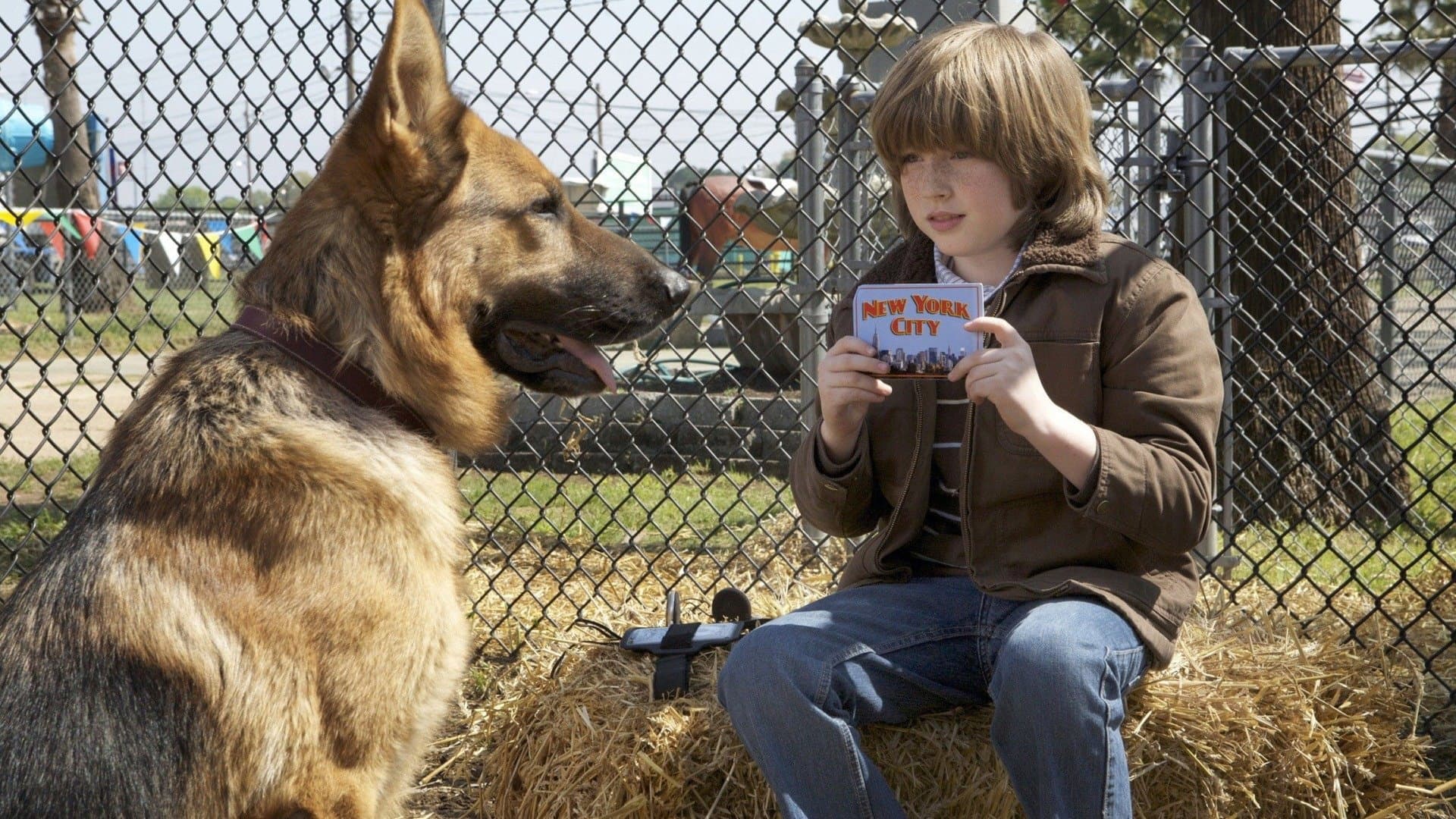 Cool Dog - Rin Tin Tin a New York - immagine