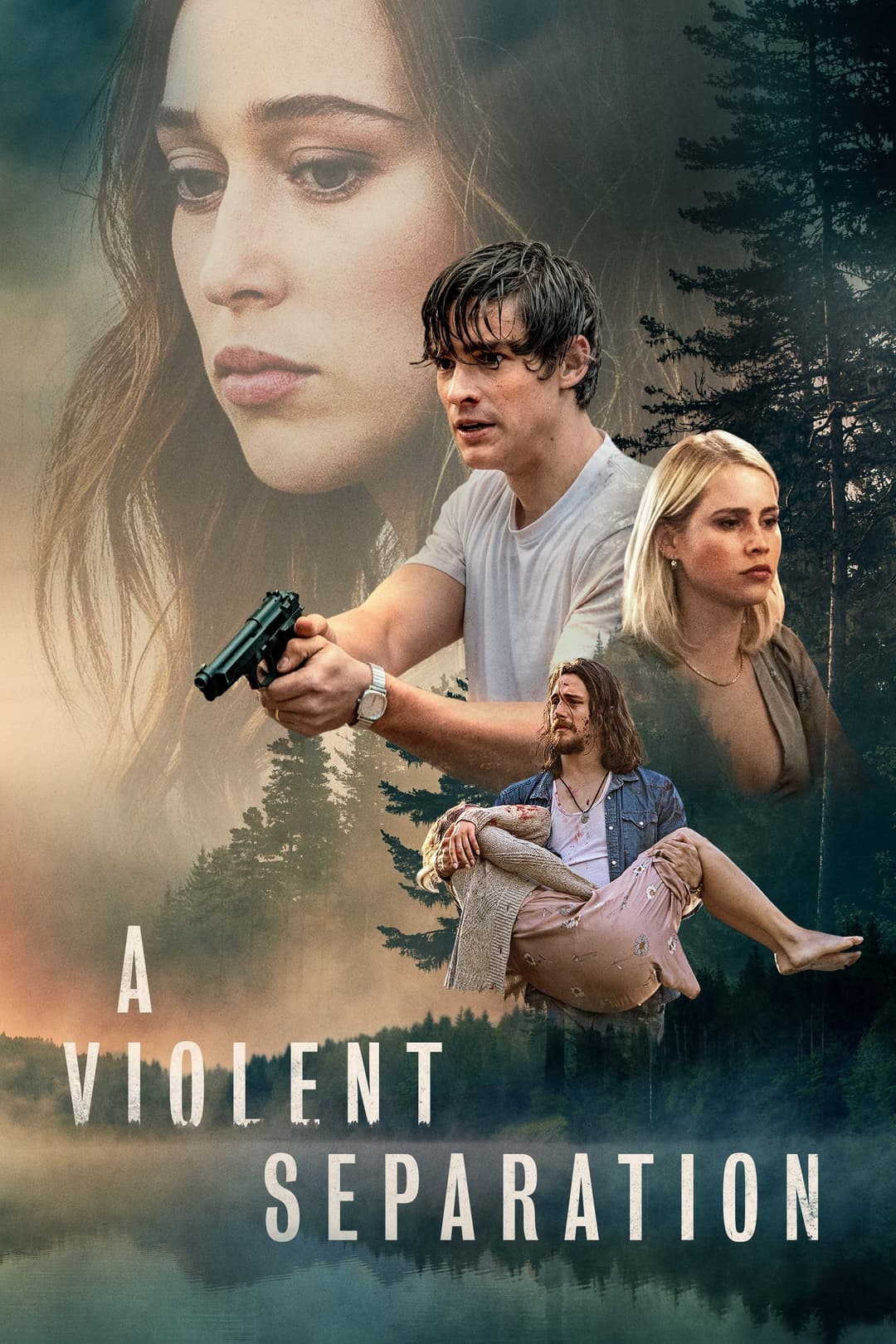 Poster di A Violent Separation