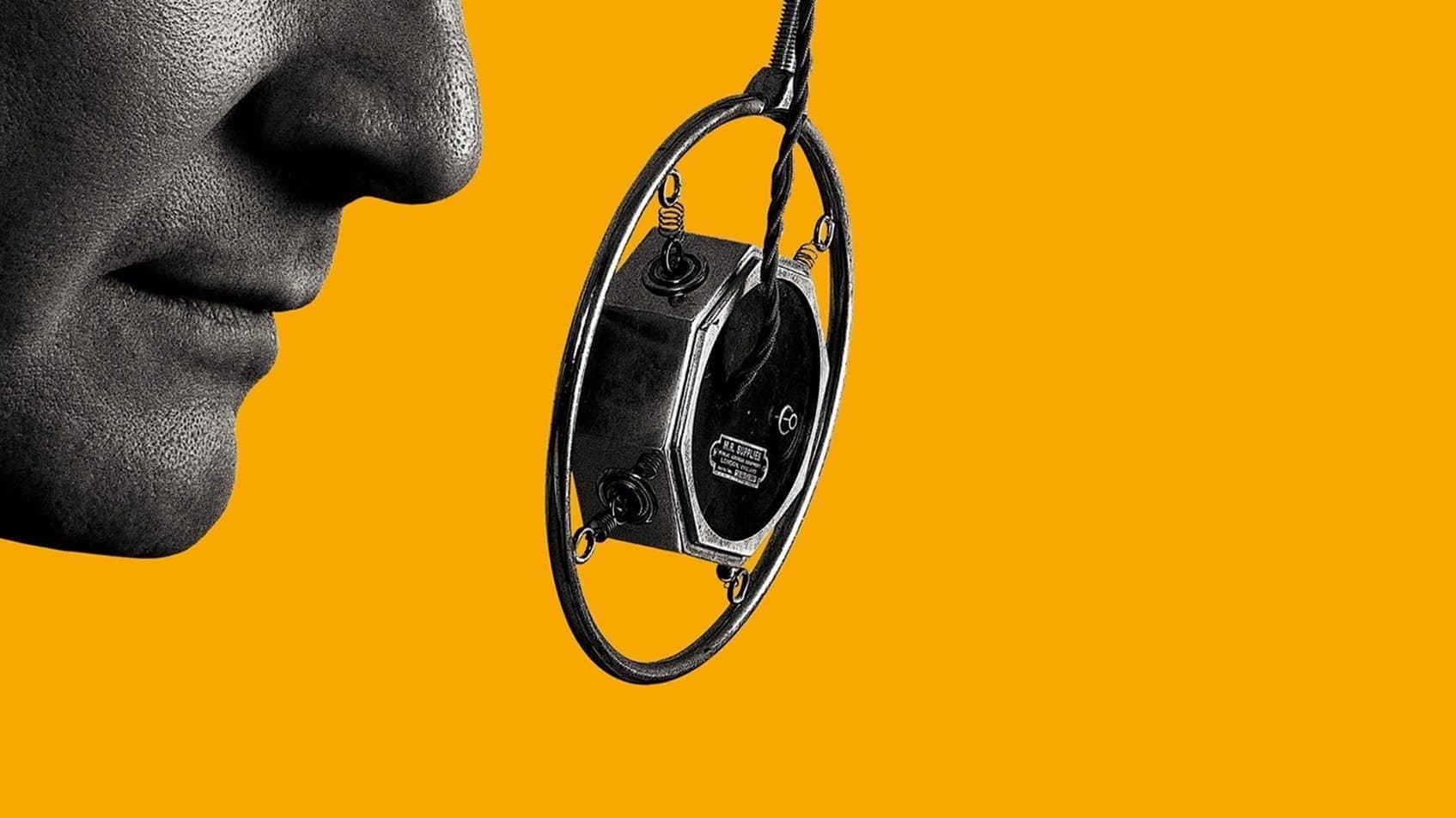 Il discorso del re - immagine